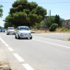 Montevago 2010 (480)